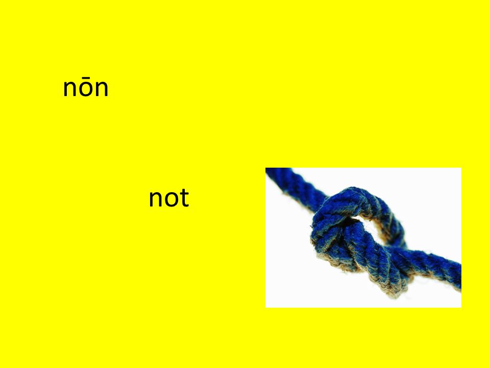 nōn not