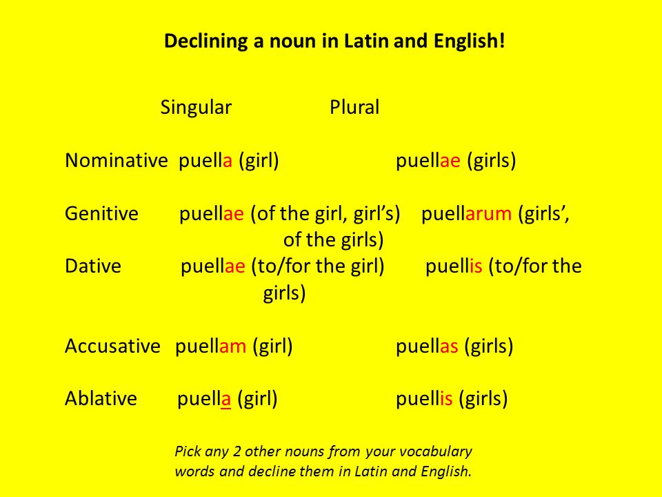 Declining a noun in Latin and English!