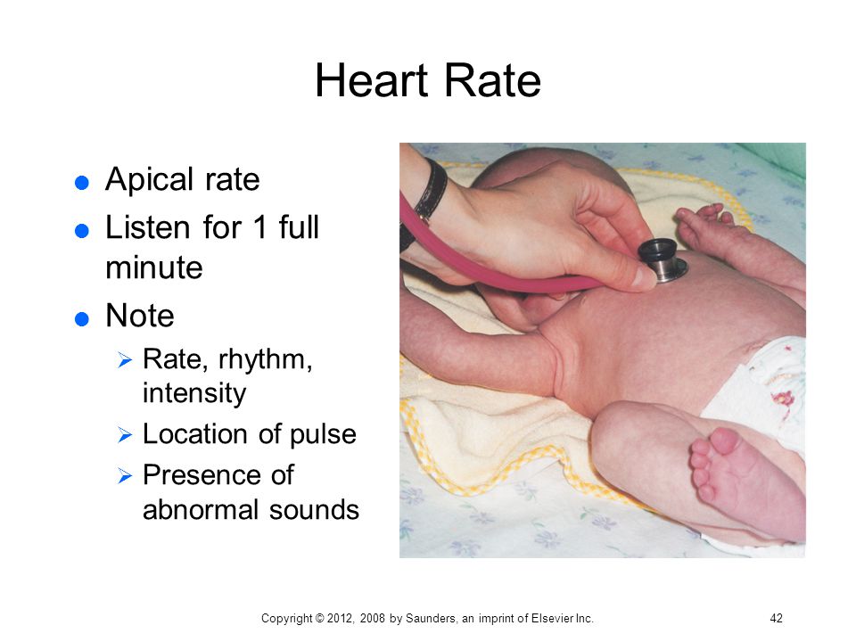 Physiologic Adaptation Of The Newborn And Nursing Assessment Ppt