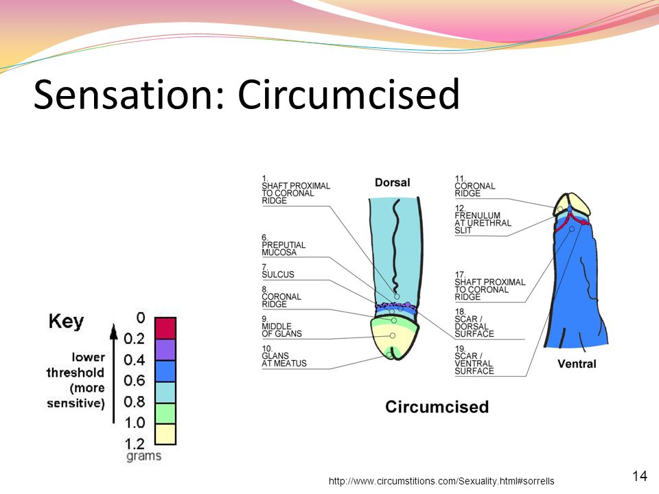 Sensation: Circumcised.