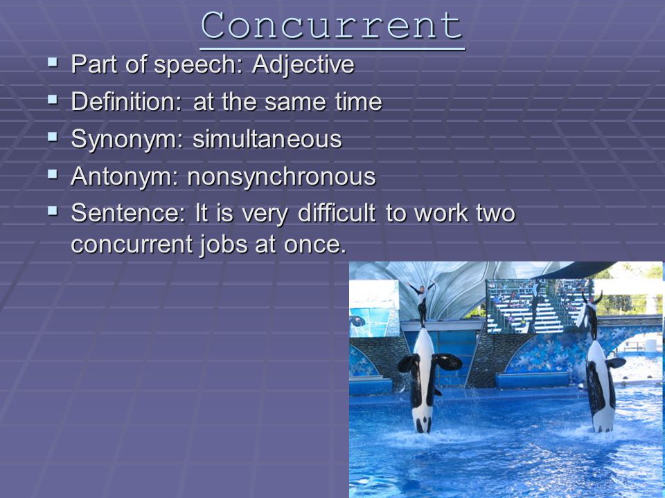 Sat Quack Vocab Presentation Ppt Download