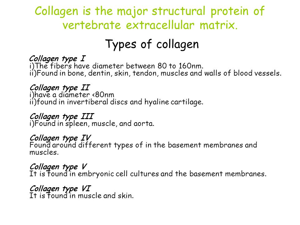 type 3 collagen type 3 collagen