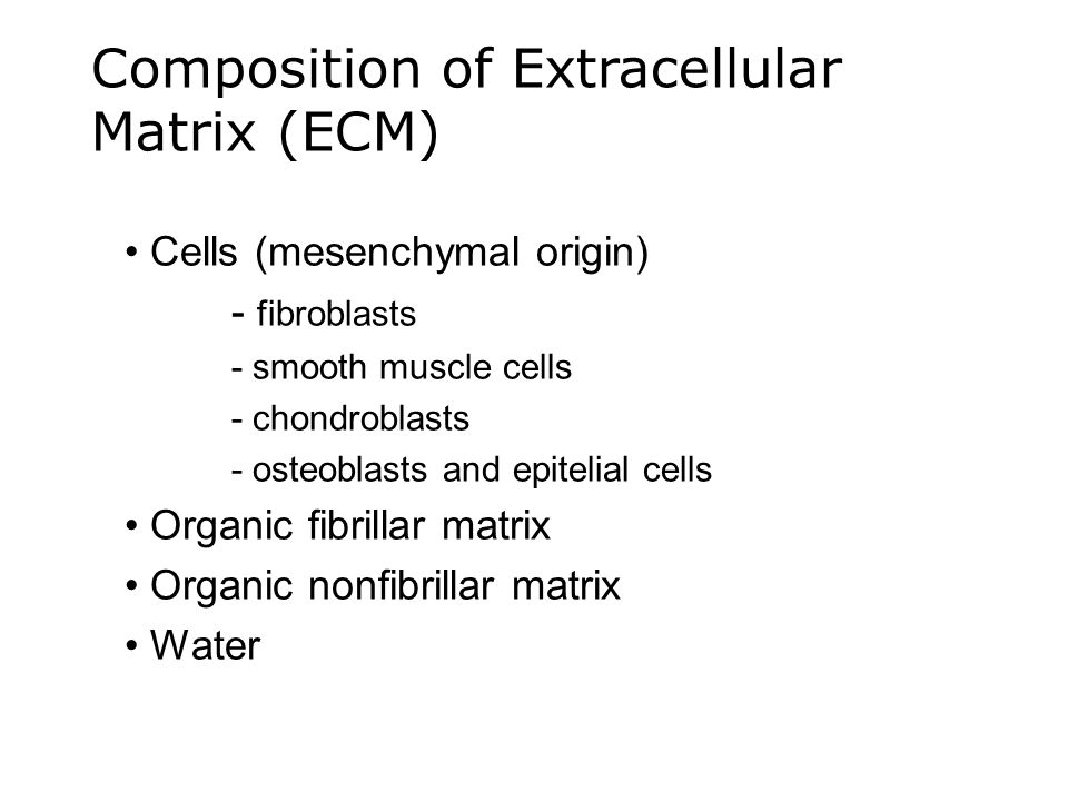 Extracellular Matrix Components
