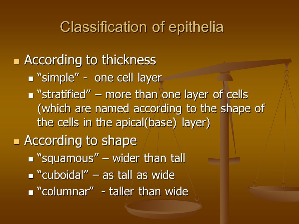 Classification of epithelia