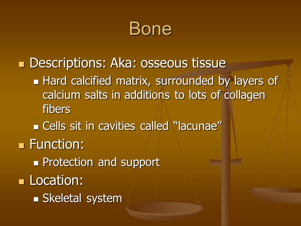 Bone Descriptions: Aka: osseous tissue Function: Location:
