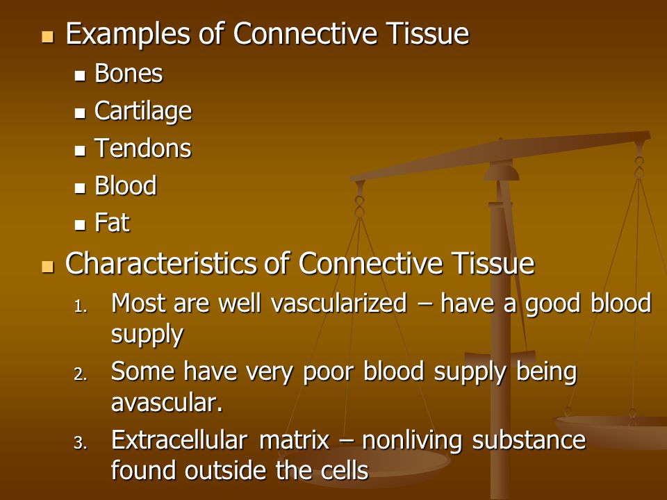 Examples of Connective Tissue