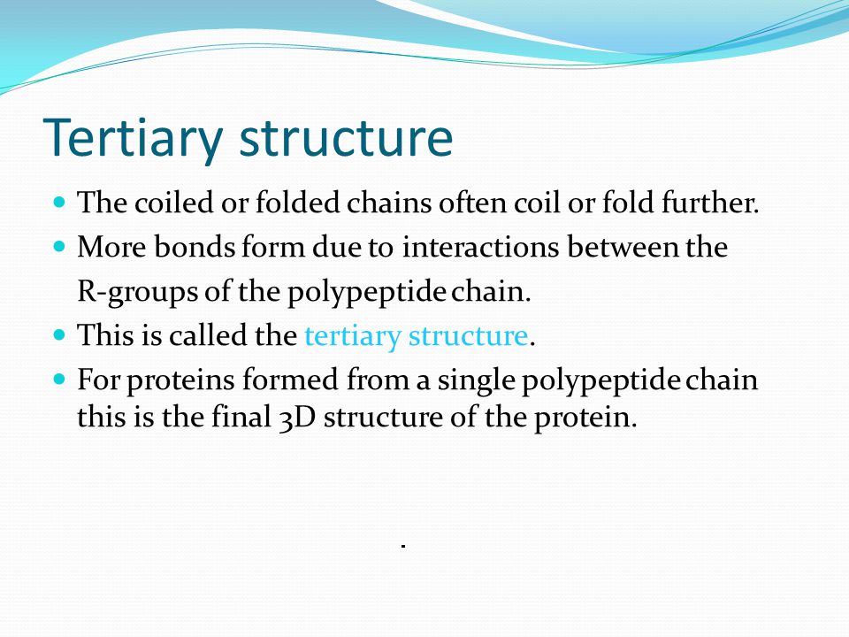 protein structure ppt