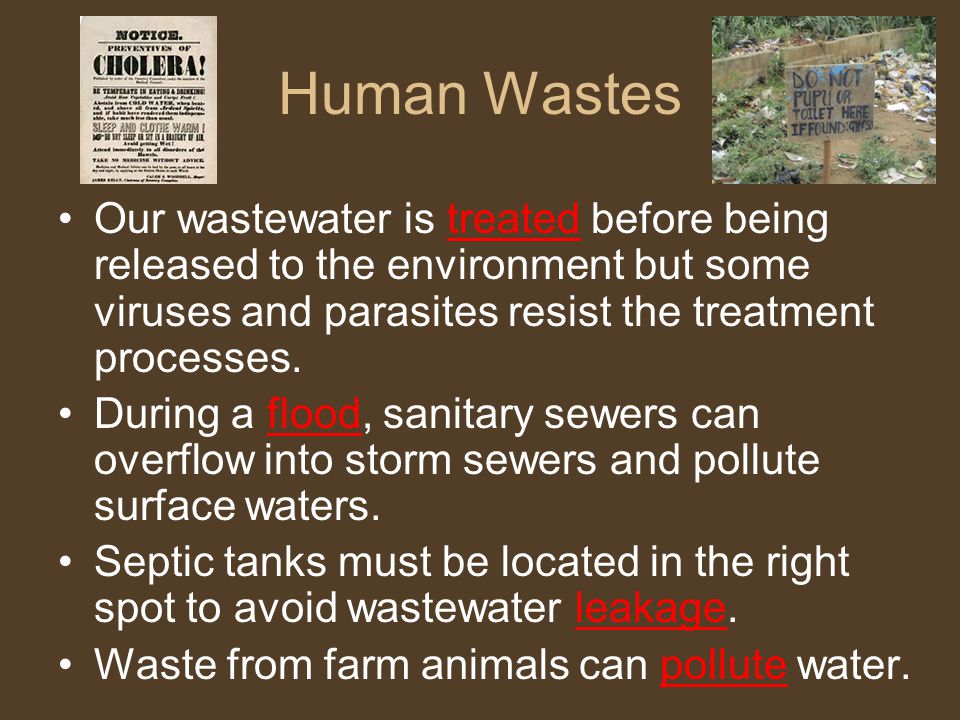 Human Wastes Our wastewater is treated before being released to the environment but some viruses and parasites resist the treatment processes.