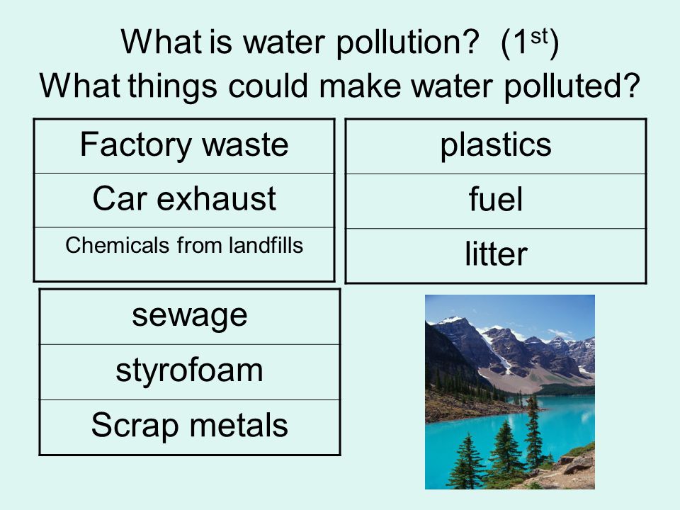 What is water pollution (1st) What things could make water polluted