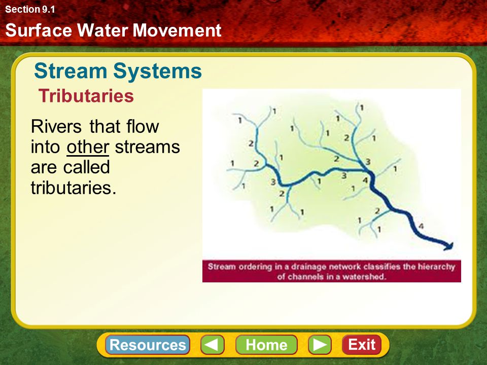 Stream Systems Tributaries