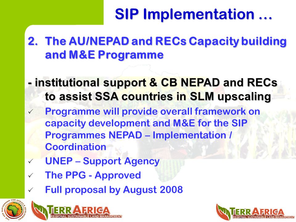 SIP Implementation … The AU/NEPAD and RECs Capacity building and M&E Programme.