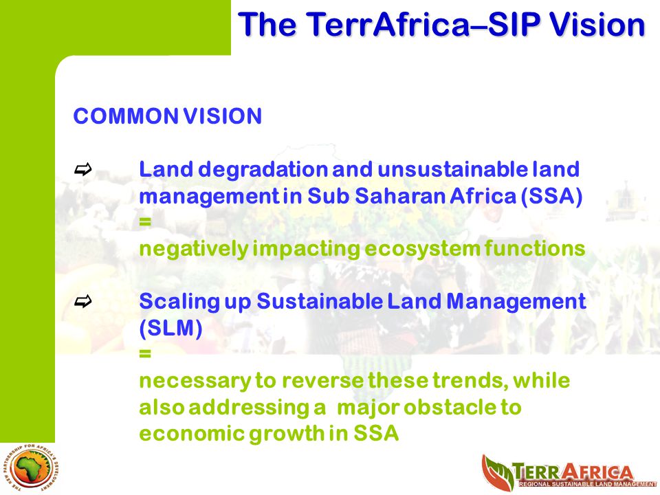 The TerrAfrica–SIP Vision