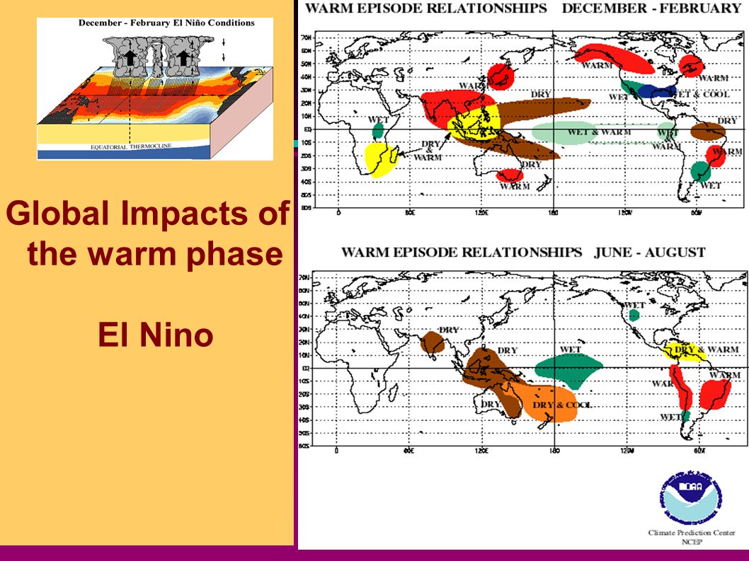 Global Impacts of the warm phase El Nino