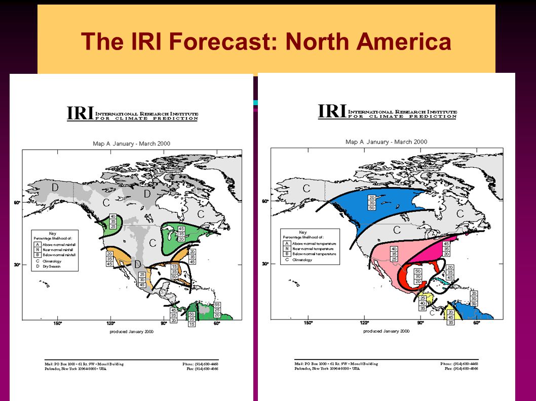The IRI Forecast: North America