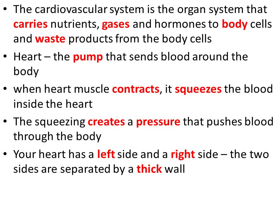 The cardiovascular system is the organ system that carries nutrients, gases and hormones to body cells and waste products from the body cells