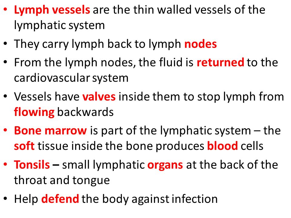 Lymph vessels are the thin walled vessels of the lymphatic system