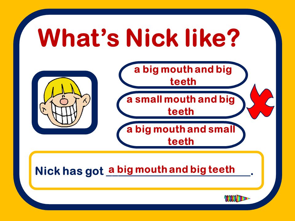  What’s Nick like Nick has got _________________________.