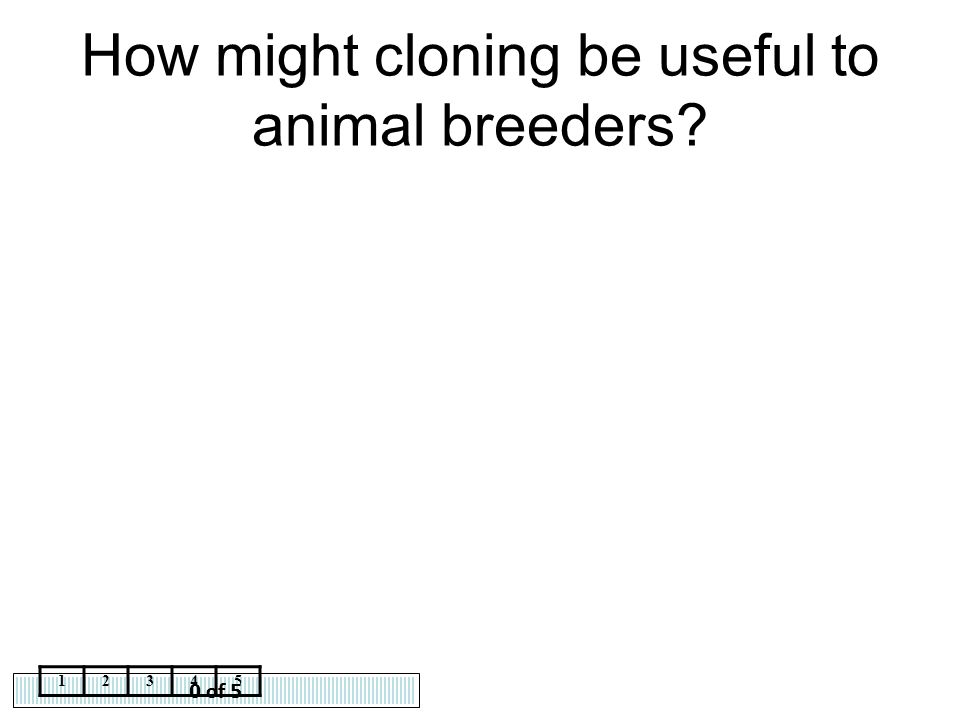 How might cloning be useful to animal breeders