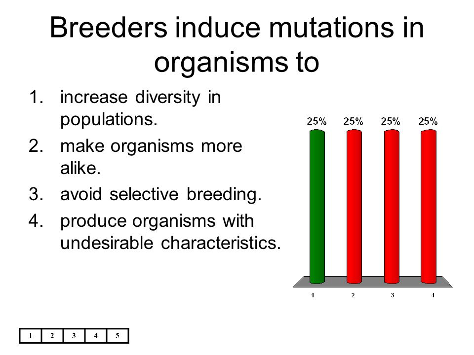 Breeders induce mutations in organisms to