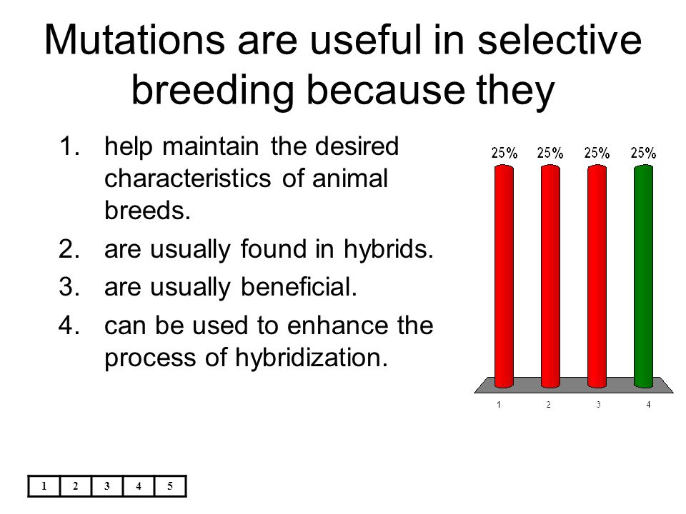 Mutations are useful in selective breeding because they