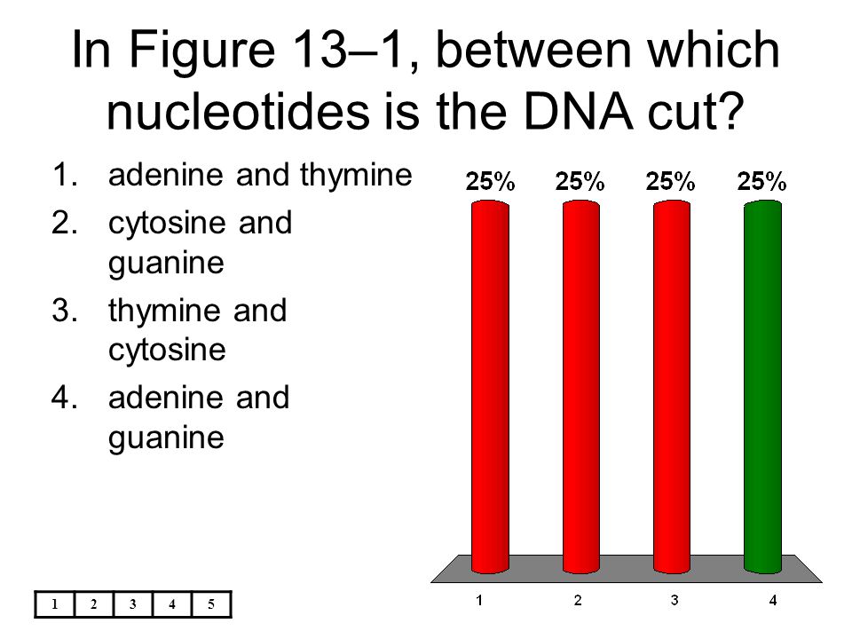 In Figure 13–1, between which nucleotides is the DNA cut