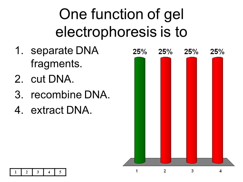 One function of gel electrophoresis is to