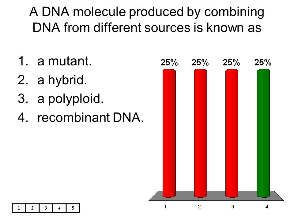 A DNA molecule produced by combining DNA from different sources is known as
