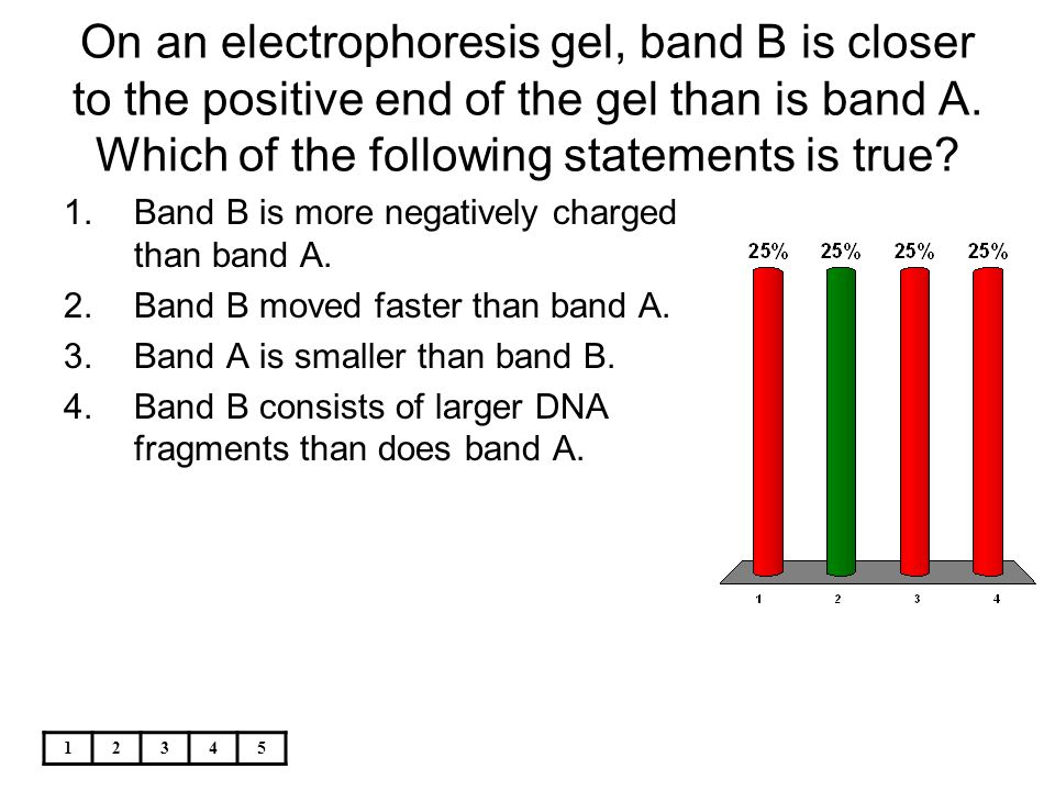 On an electrophoresis gel, band B is closer to the positive end of the gel than is band A. Which of the following statements is true