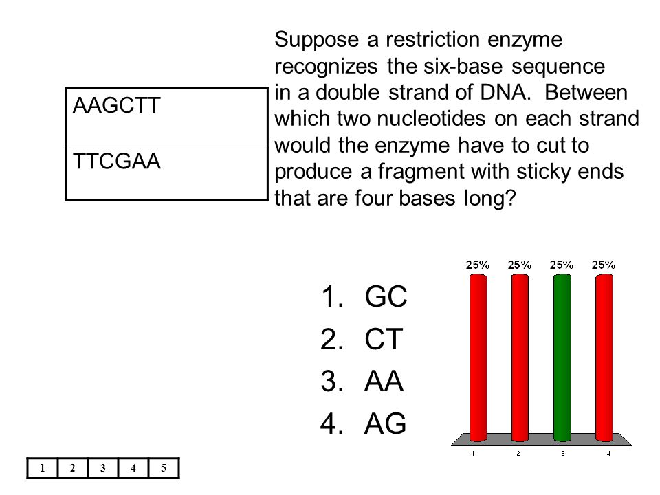 Suppose a restriction enzyme recognizes the six-base sequence in a double strand of DNA. Between which two nucleotides on each strand would the enzyme have to cut to produce a fragment with sticky ends that are four bases long