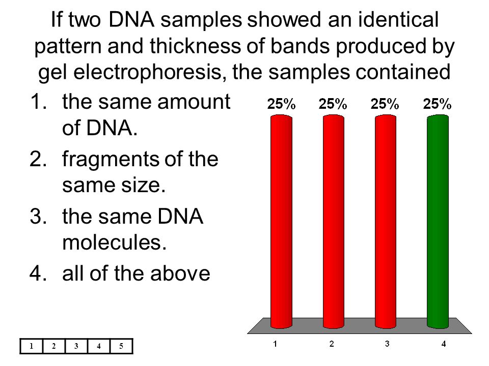 fragments of the same size. the same DNA molecules. all of the above