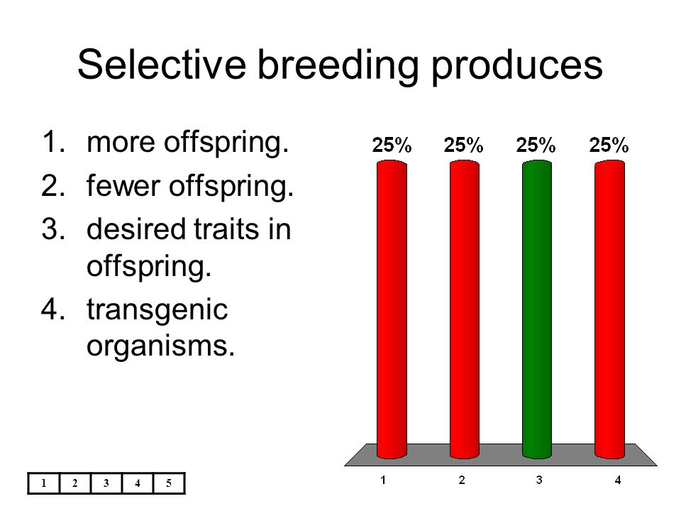 Selective breeding produces