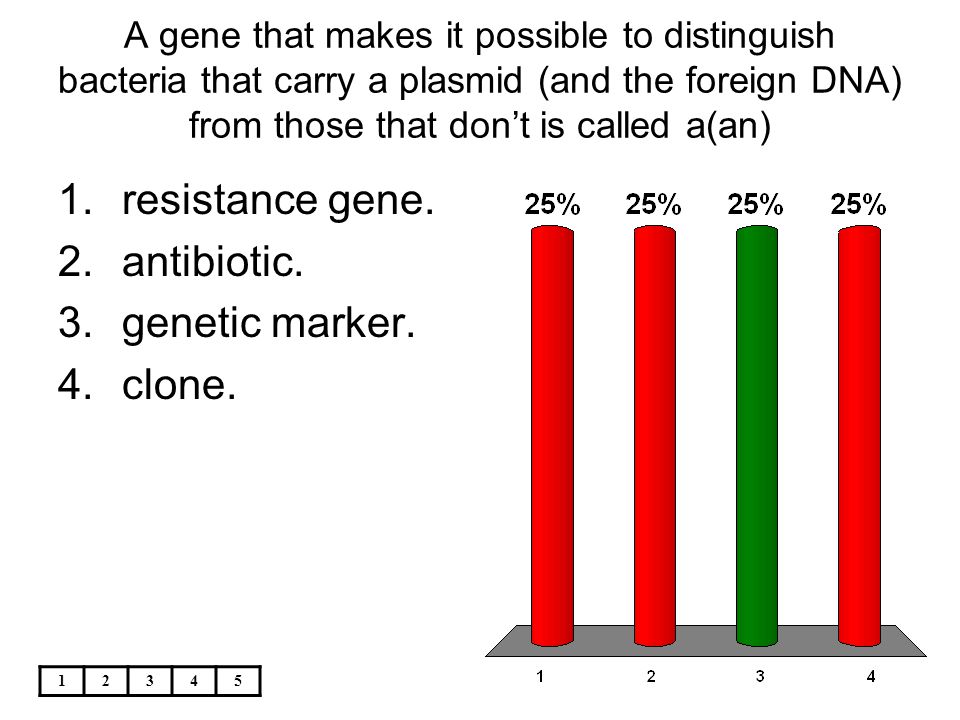 resistance gene. antibiotic. genetic marker. clone.