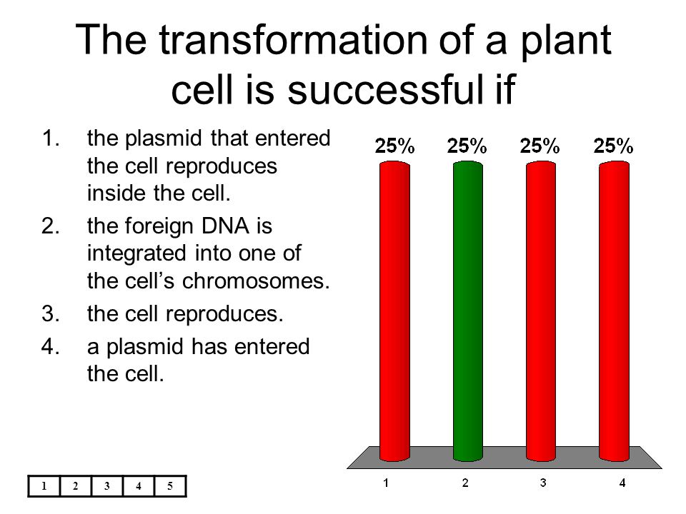 The transformation of a plant cell is successful if