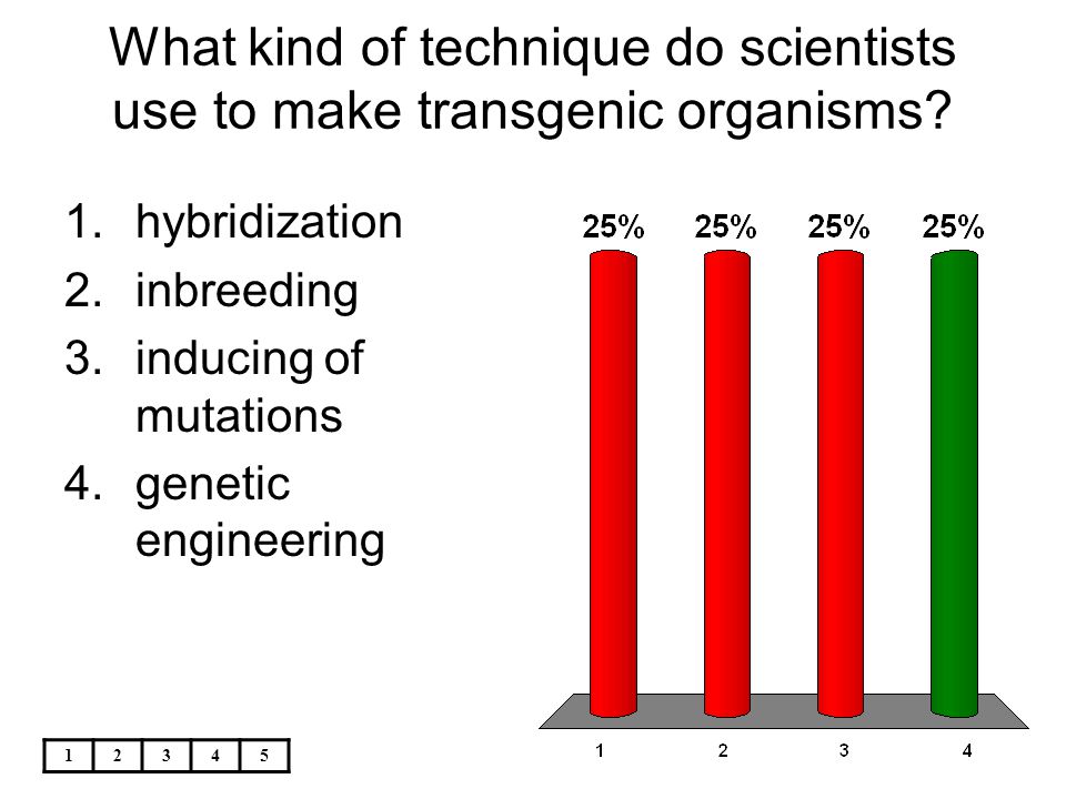 What kind of technique do scientists use to make transgenic organisms