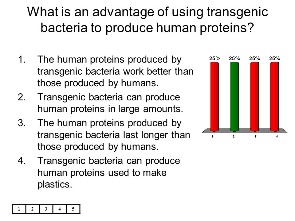 What is an advantage of using transgenic bacteria to produce human proteins