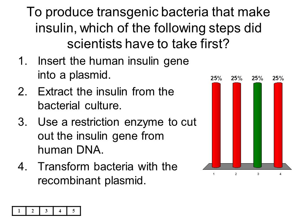 To produce transgenic bacteria that make insulin, which of the following steps did scientists have to take first