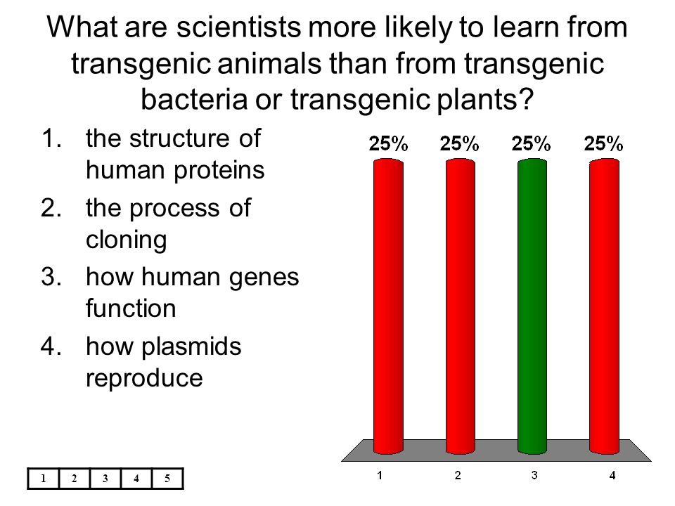 What are scientists more likely to learn from transgenic animals than from transgenic bacteria or transgenic plants