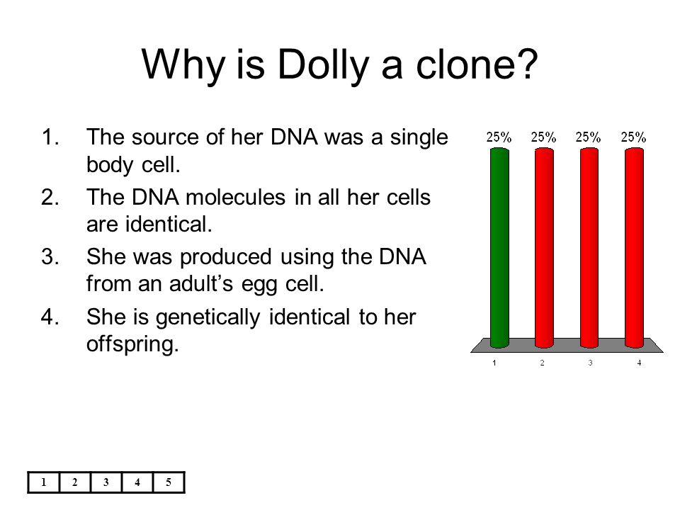Why is Dolly a clone The source of her DNA was a single body cell.