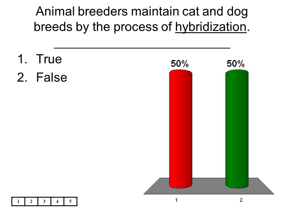Animal breeders maintain cat and dog breeds by the process of hybridization. _________________________
