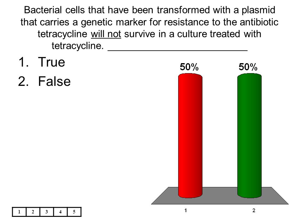 Bacterial cells that have been transformed with a plasmid that carries a genetic marker for resistance to the antibiotic tetracycline will not survive in a culture treated with tetracycline. _________________________