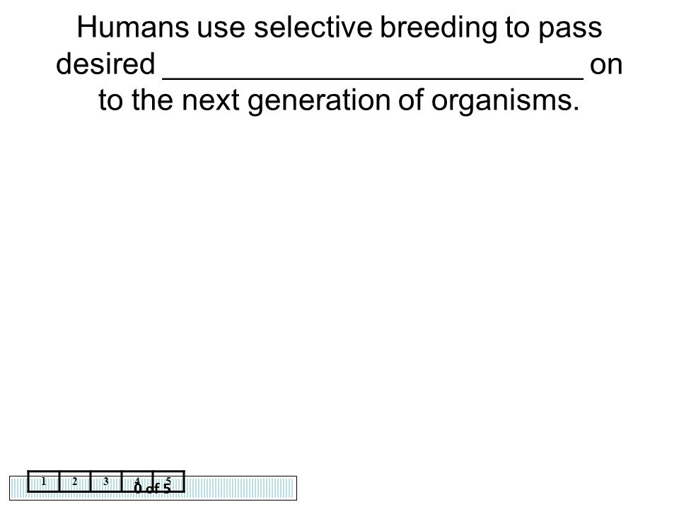 Humans use selective breeding to pass desired _________________________ on to the next generation of organisms.