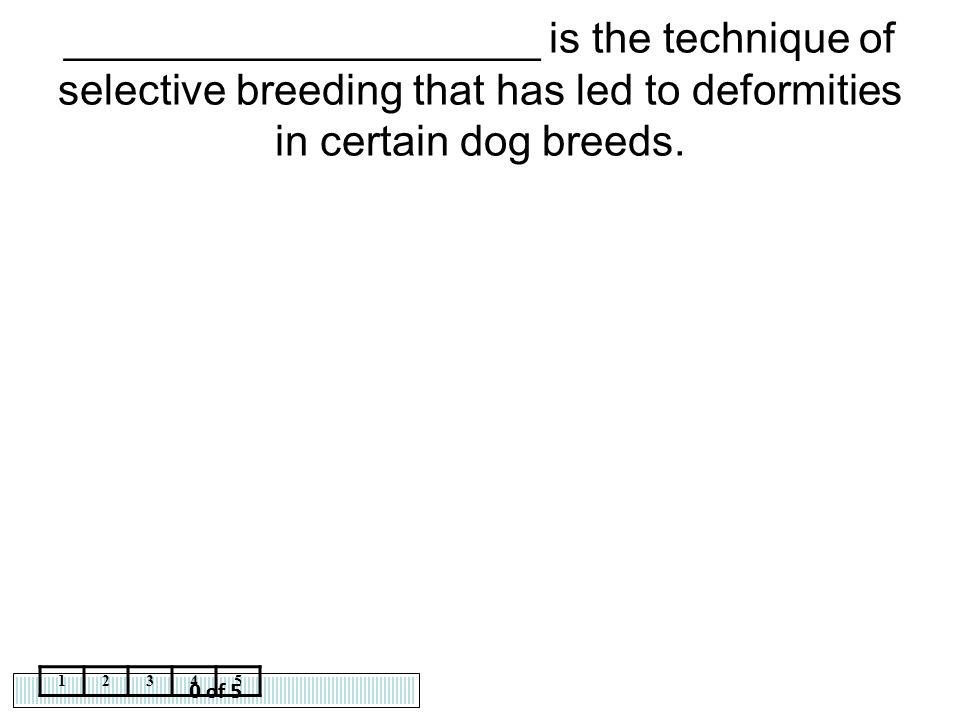 ____________________ is the technique of selective breeding that has led to deformities in certain dog breeds.