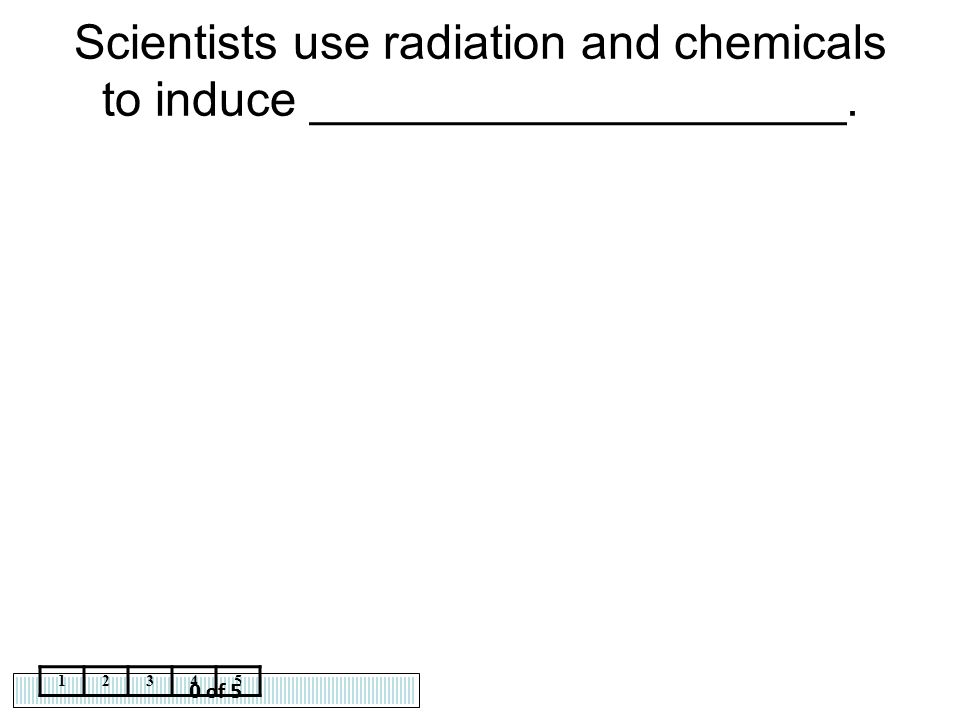 Scientists use radiation and chemicals to induce ____________________.