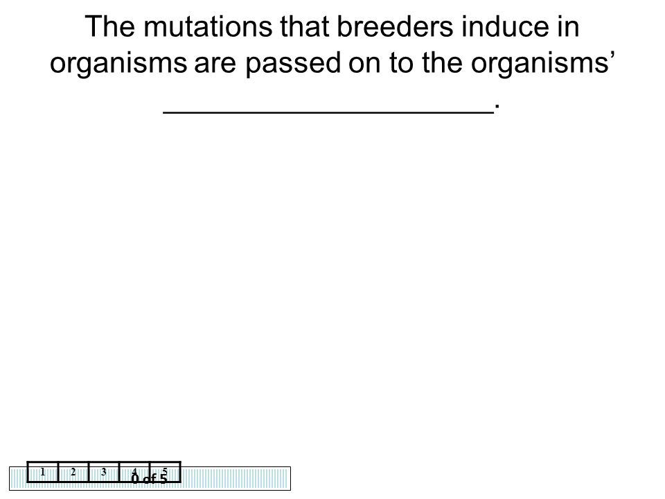 The mutations that breeders induce in organisms are passed on to the organisms’ ____________________.