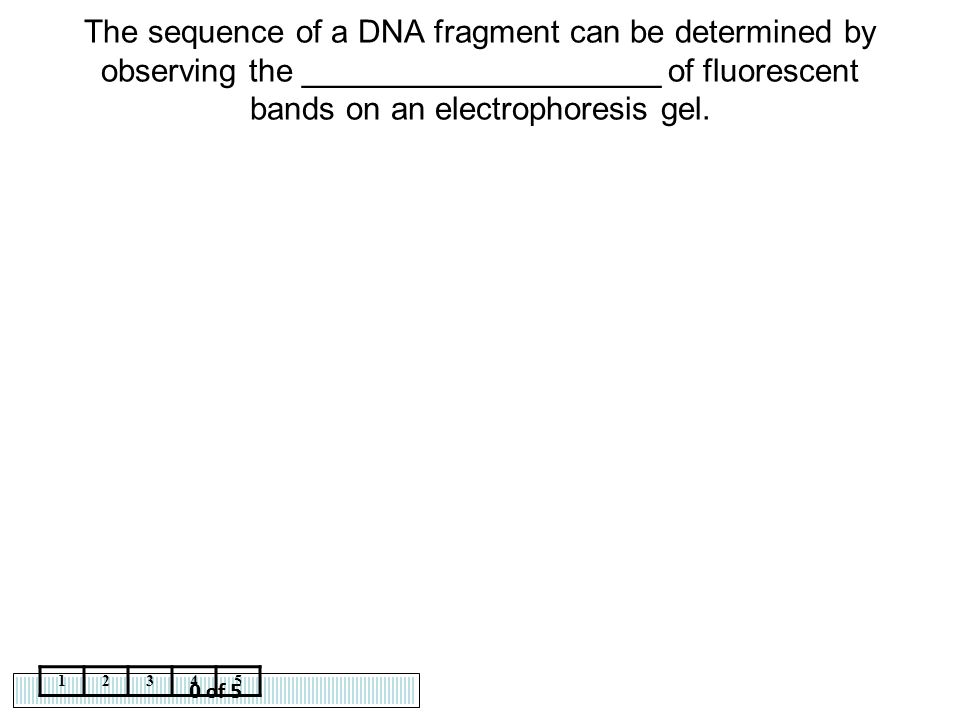 The sequence of a DNA fragment can be determined by observing the ____________________ of fluorescent bands on an electrophoresis gel.