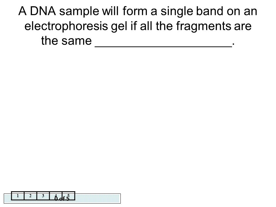 A DNA sample will form a single band on an electrophoresis gel if all the fragments are the same ____________________.