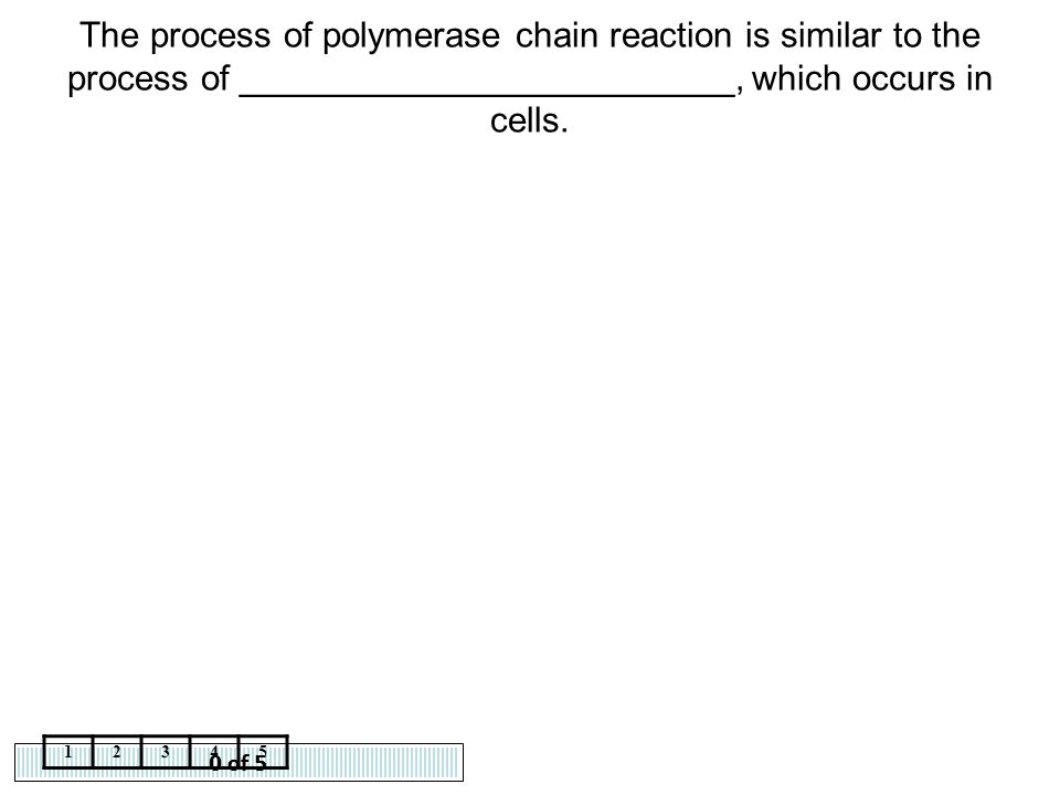 The process of polymerase chain reaction is similar to the process of _________________________, which occurs in cells.