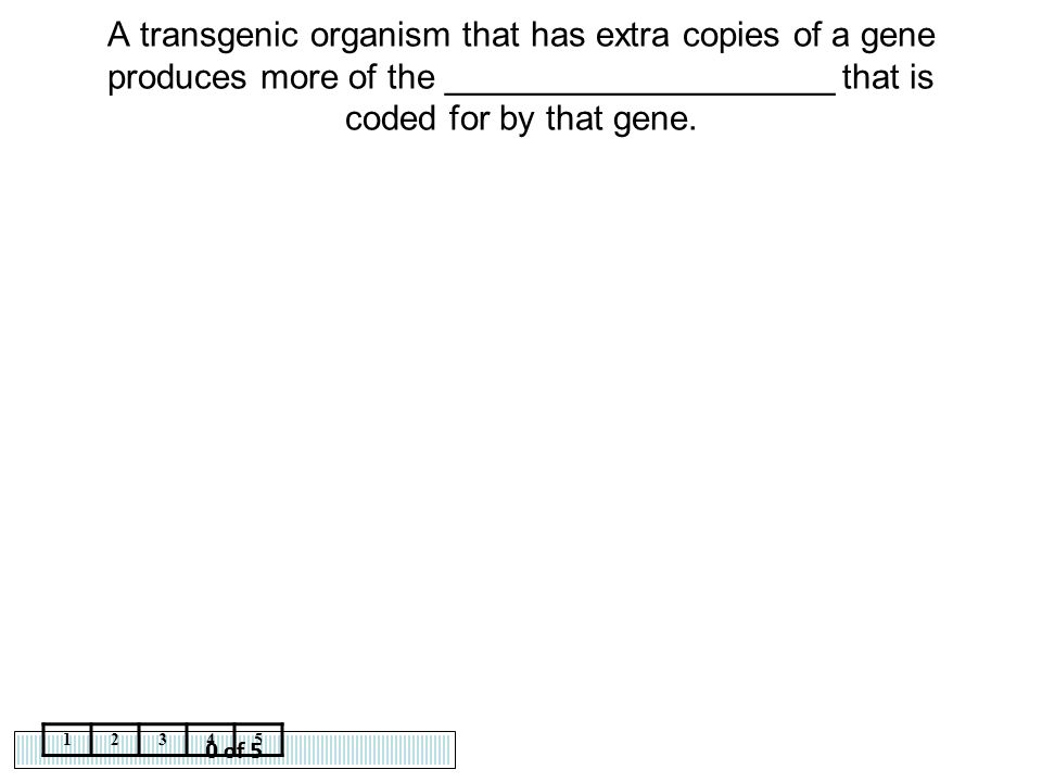 A transgenic organism that has extra copies of a gene produces more of the ____________________ that is coded for by that gene.
