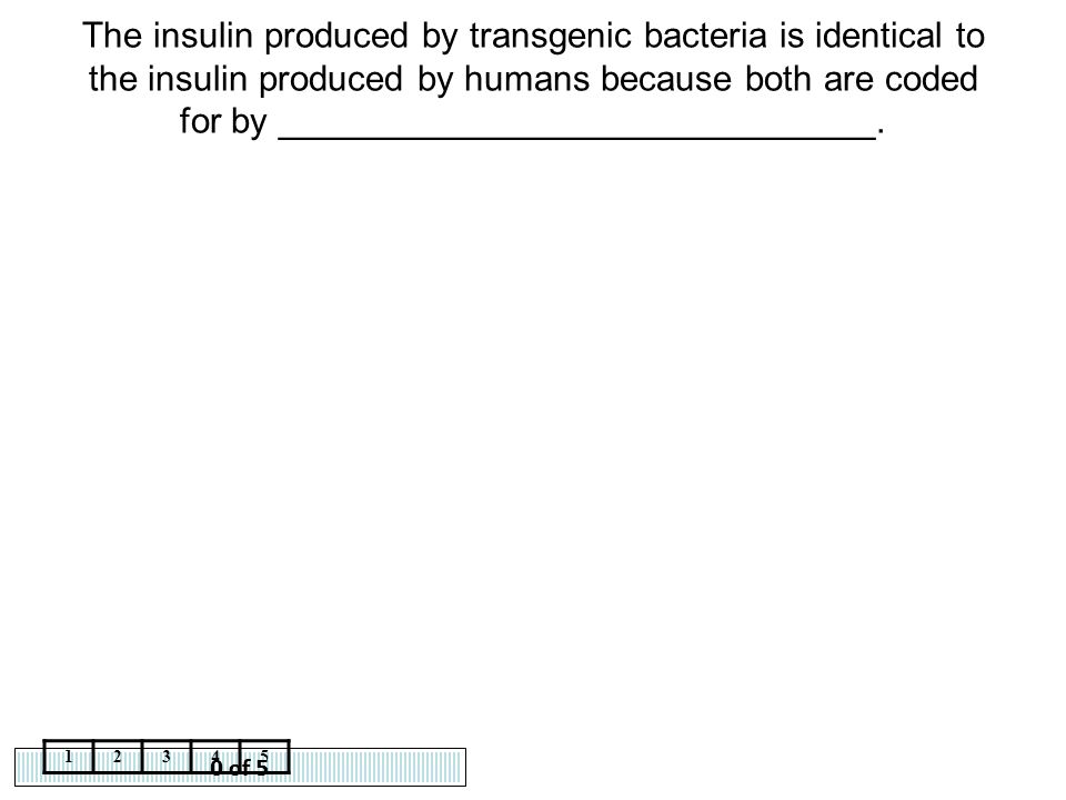The insulin produced by transgenic bacteria is identical to the insulin produced by humans because both are coded for by ______________________________.
