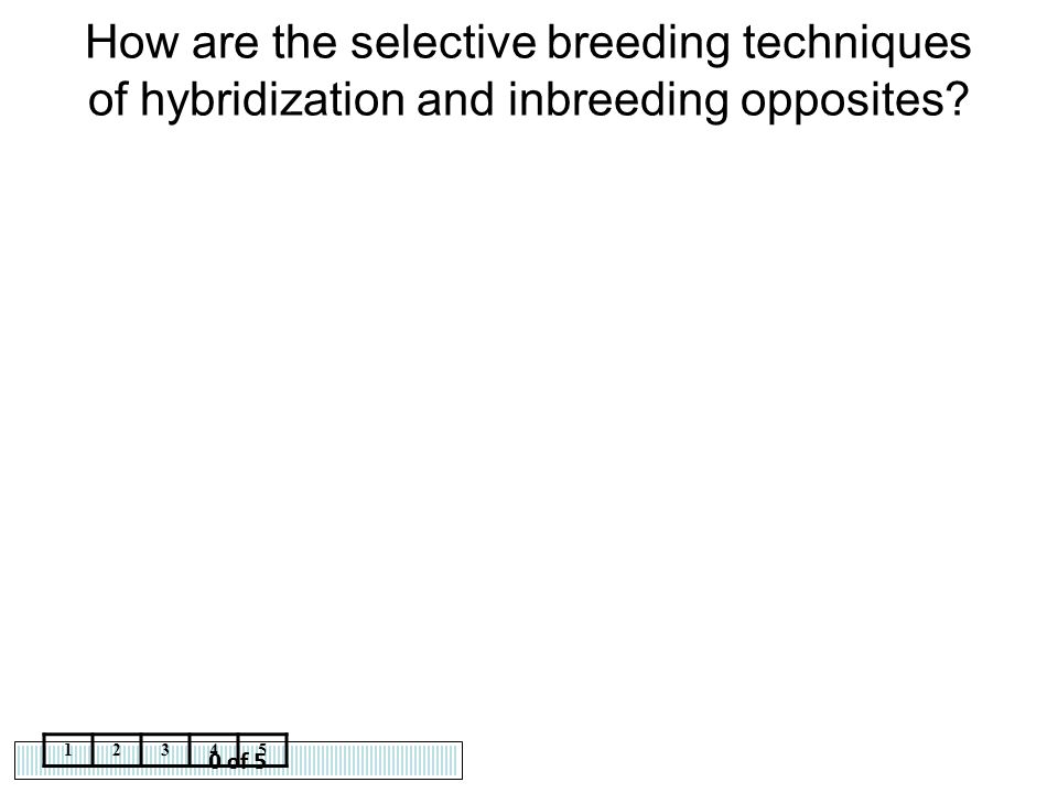 How are the selective breeding techniques of hybridization and inbreeding opposites
